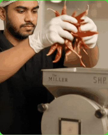 Whole chillies being fed into the Miller mill