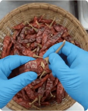 Whole chillies being sorted by hand before milling at a Miller Stores outlet